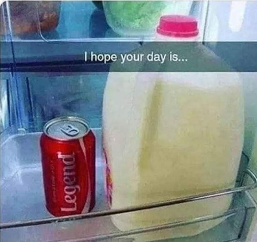 Luna SHINE🌛💫 tweet media