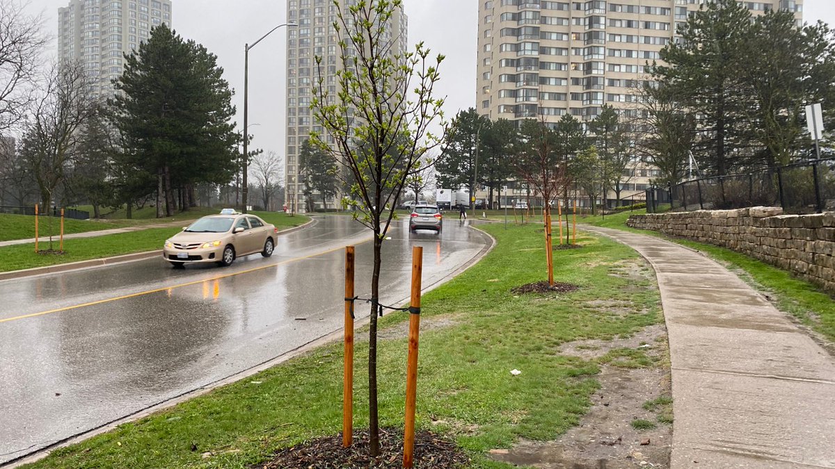 Brampton Grow Green tweet media