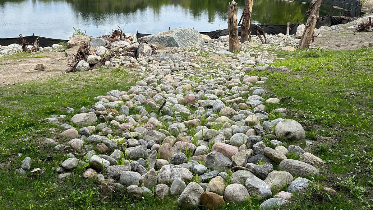 Brampton Grow Green tweet media