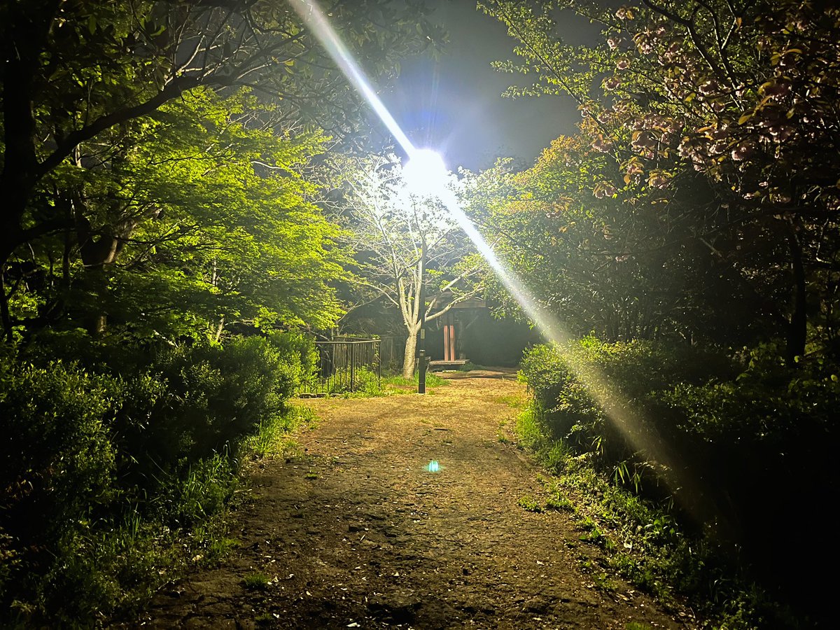 サクマレイイチ tweet media