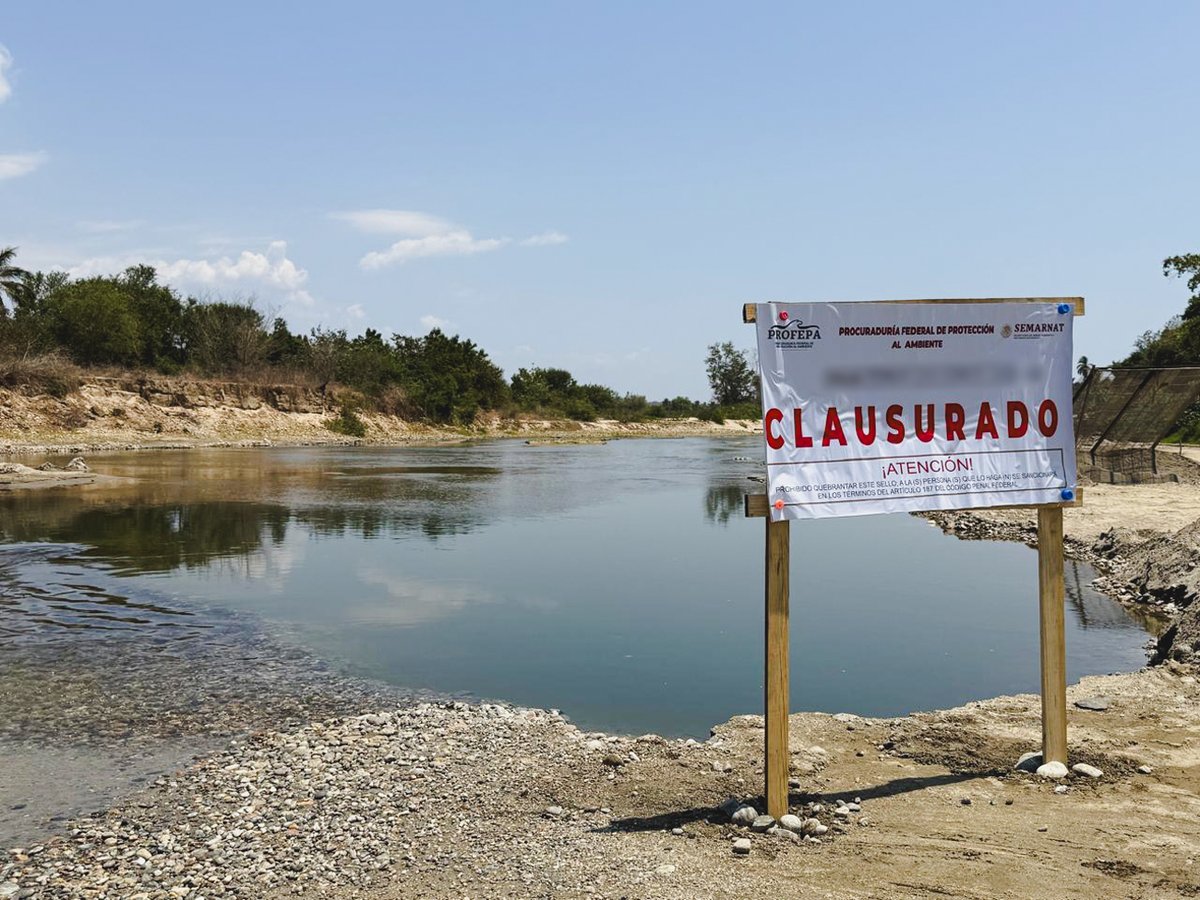 Noticias Oaxaca NVI tweet media