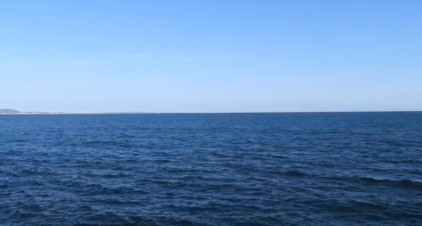 石井一弘（カズ 裏コロナHP管理人＆裏コロナの本 著者） tweet media