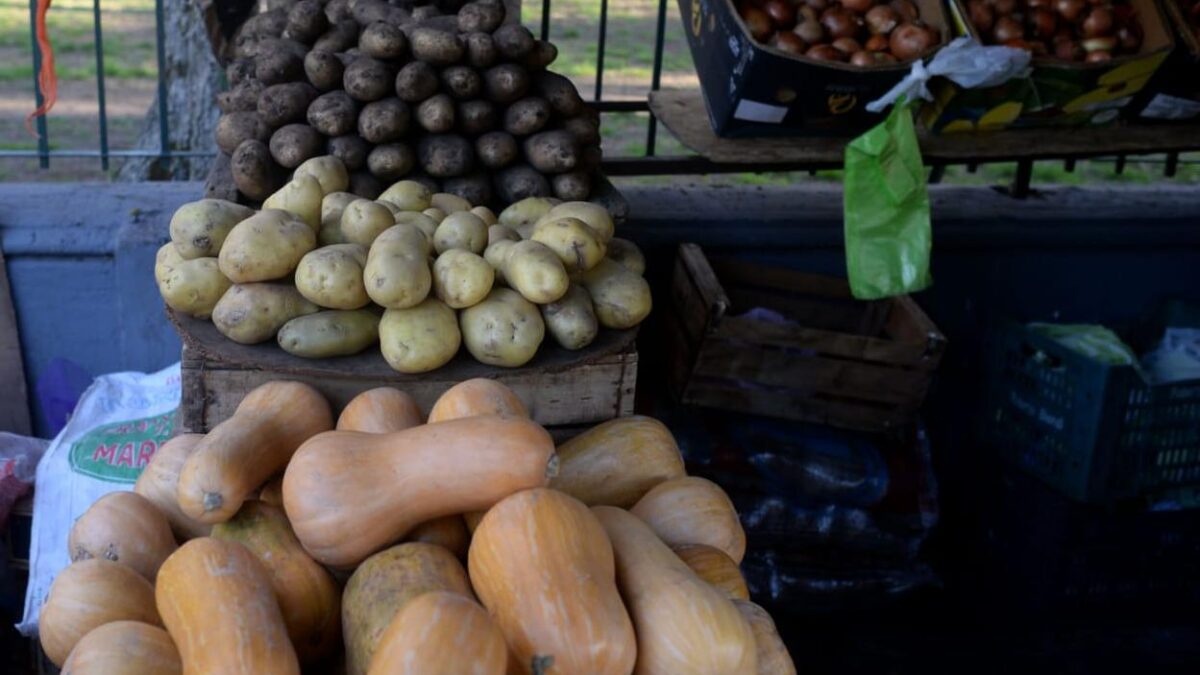 PlusInformación Noticias tweet media