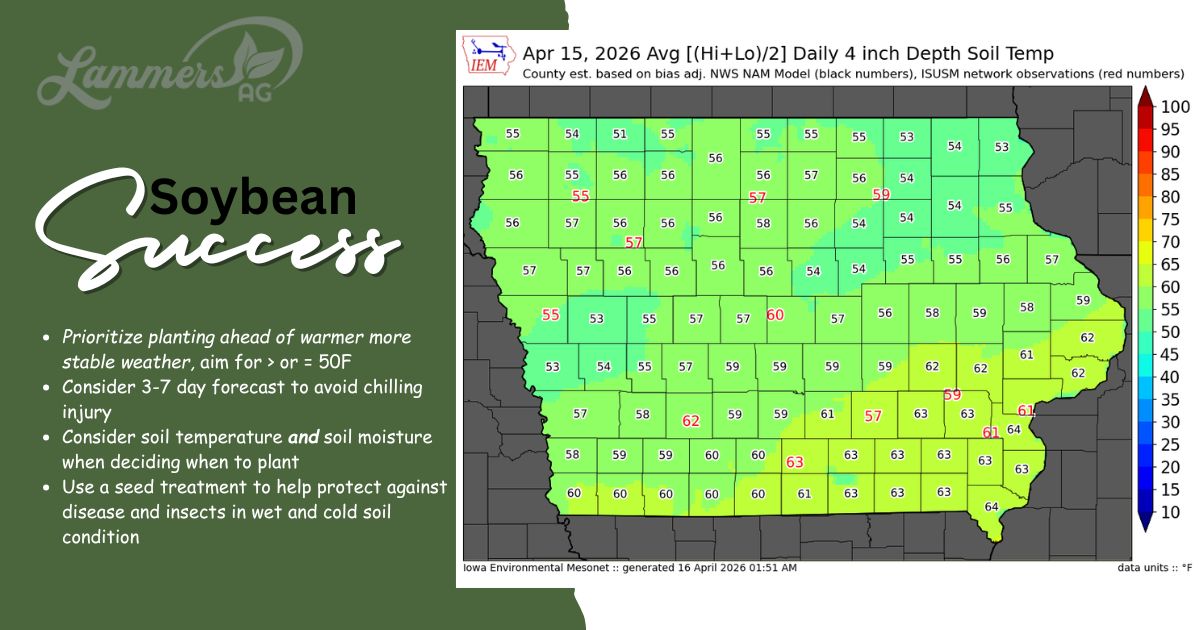 cbseeds's tweet photo. #plant2026 #LammersAg #rootedinresults #SoybeanSuccess https://t.co/EQVbbVTRoI