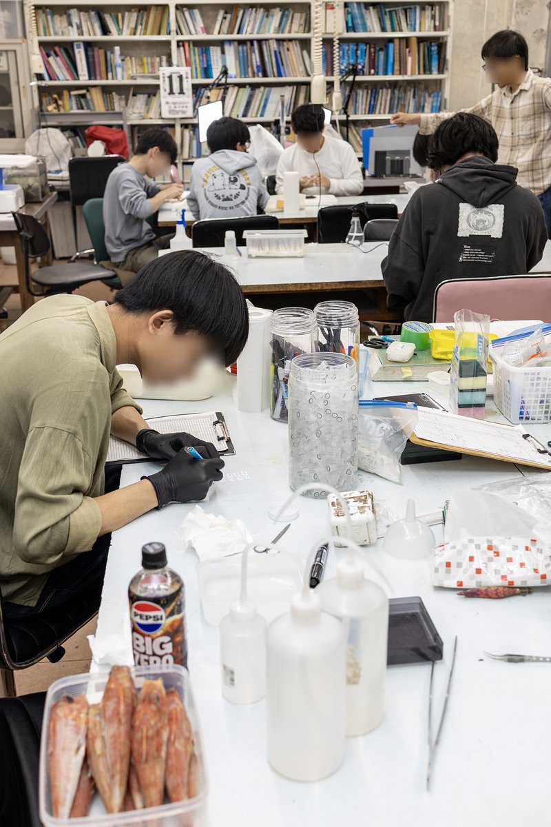 鹿児島大学総合研究博物館 tweet media