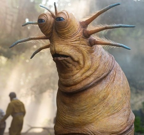 doctor idk tweet media