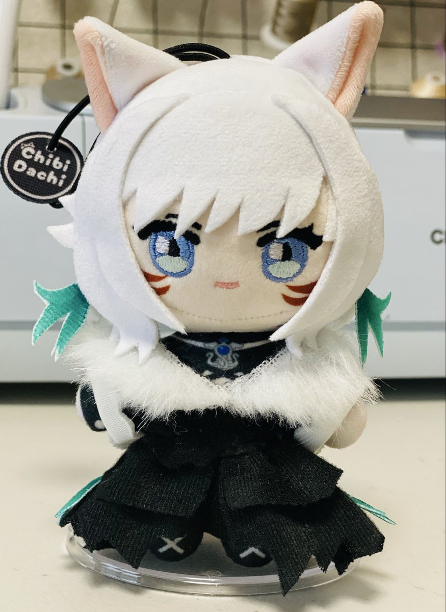 Chibi Dachi tweet media