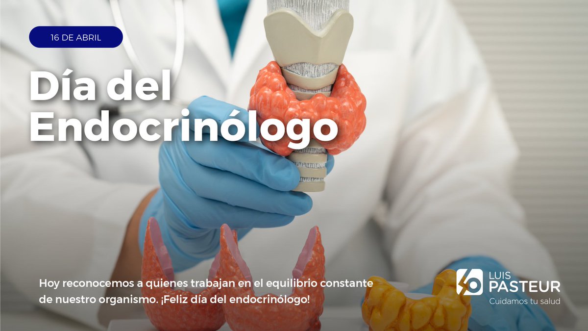 oslpasteur's tweet photo. Hoy reconocemos a quienes trabajan en el equilibrio constante de nuestro organismo.

Los que entienden lo que no siempre se ve,
los que regulan, acompañan y ajustan,
los que están detrás de procesos clave para que todo funcione bien.

Gracias por ese trabajo tan esencial.

¡Feliz Día Nacional del Endocrinólogo!