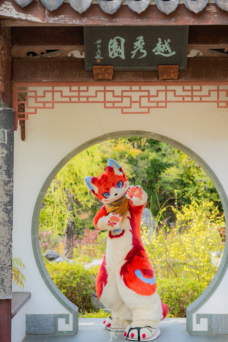 チディ tweet media