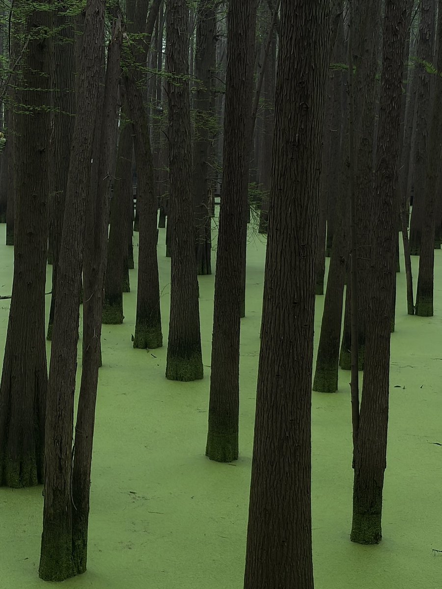 𓂃۶ৎ tweet media