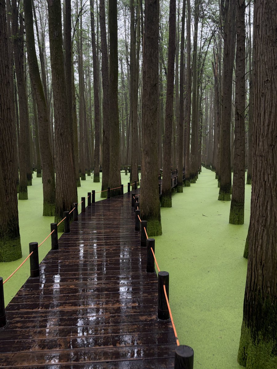 𓂃۶ৎ tweet media