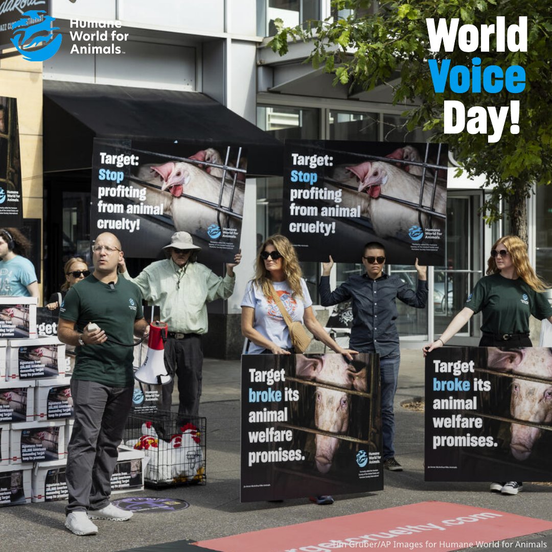 Humane World Farm Animals tweet media