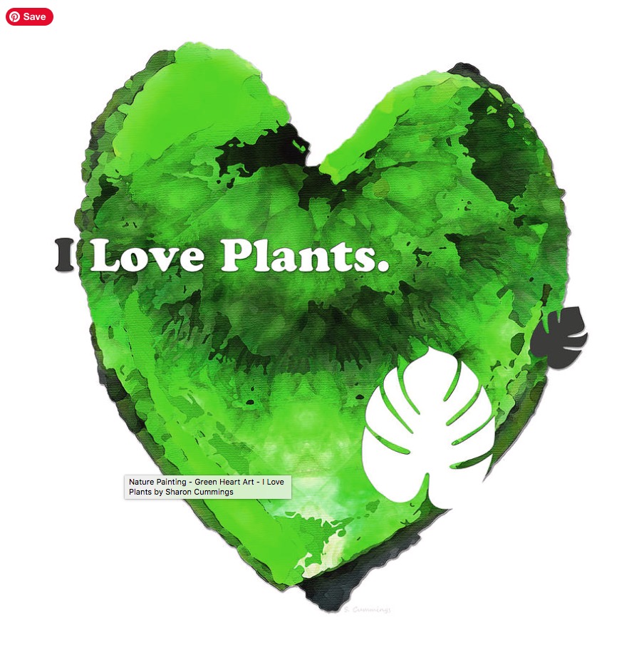 Terracegallery's tweet image. I Love Plants:  fineartamerica.com/featured/green… #plants #plant #green #foodie #vegan #vegetarian #naturelover #art #artwork #logo #ArtBySharonCummings #buyintoart