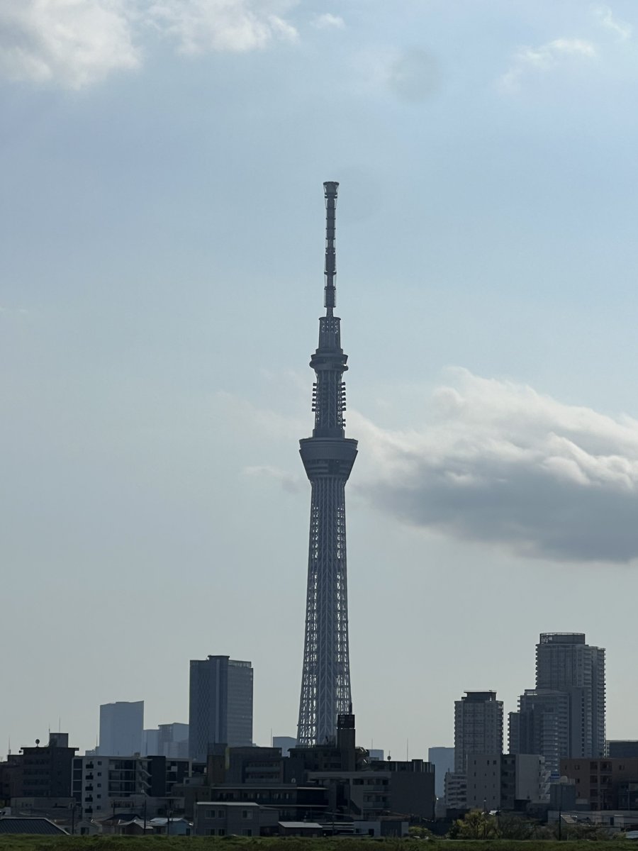 ゾロパン🐼(・_ メ) tweet media