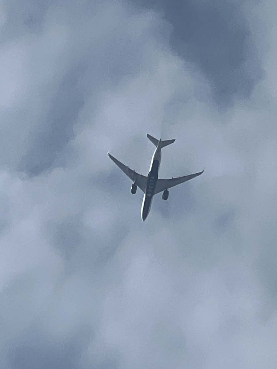 ゾロパン🐼(・_ メ) tweet media