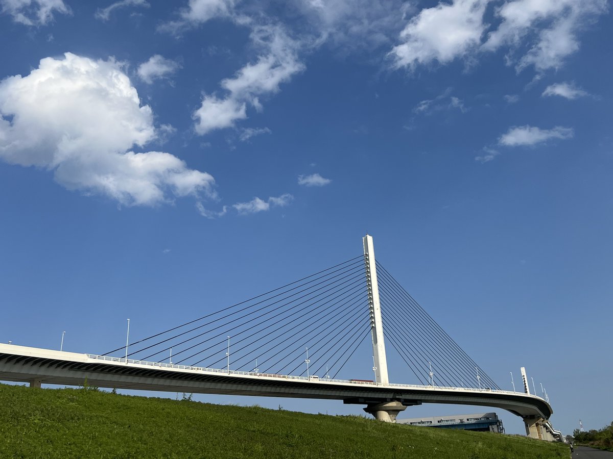 ゾロパン🐼(・_ メ) tweet media