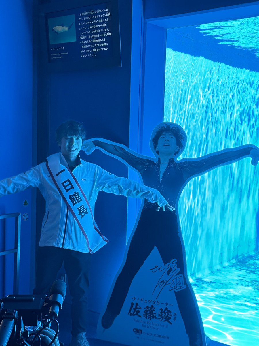 まみも tweet media