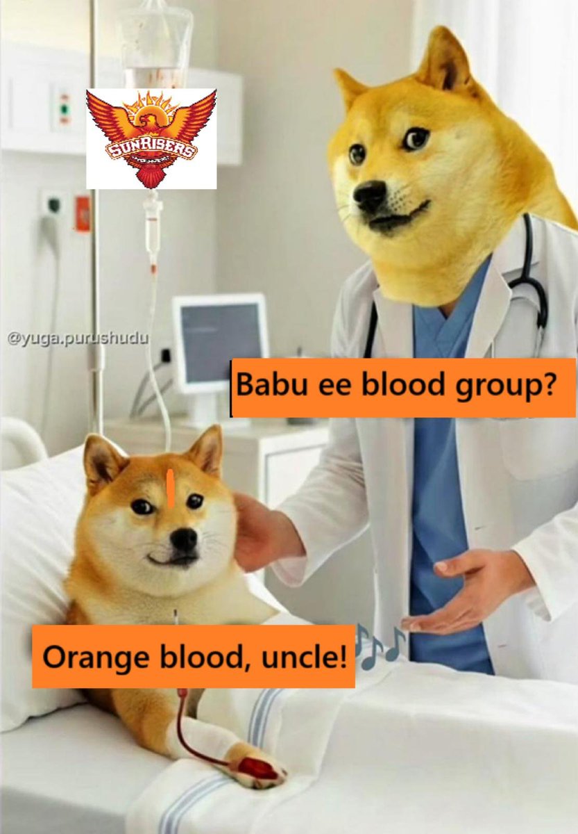 ᴛʜᴇ ᴅᴜʀᴅᴇɴ 😎 🦅 tweet media