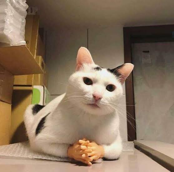 luizaaaa🐼 tweet media