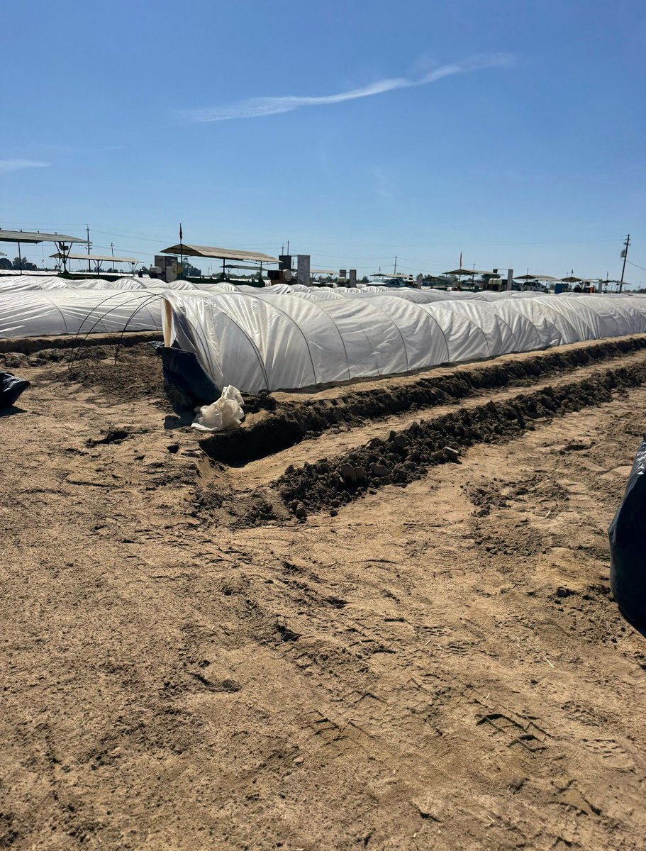 United Farm Workers tweet media