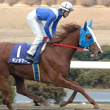 秋風旬太郎 tweet media