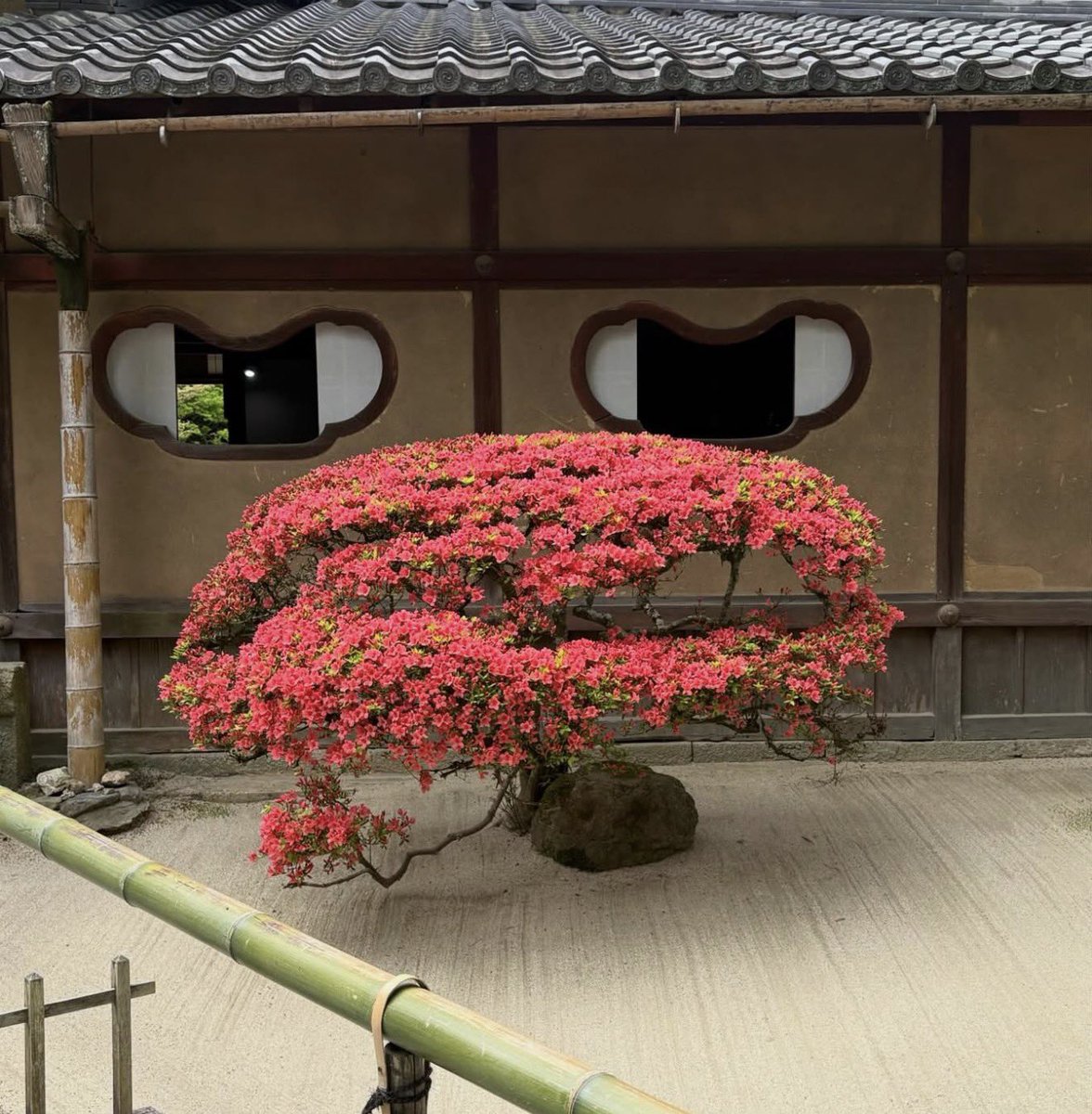 ふうちゃんぱぱ tweet media