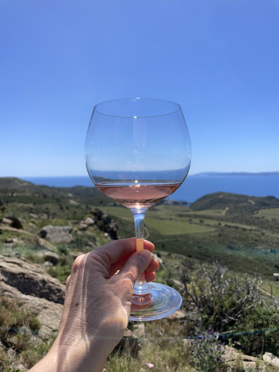 Vero Sinmapa tweet media