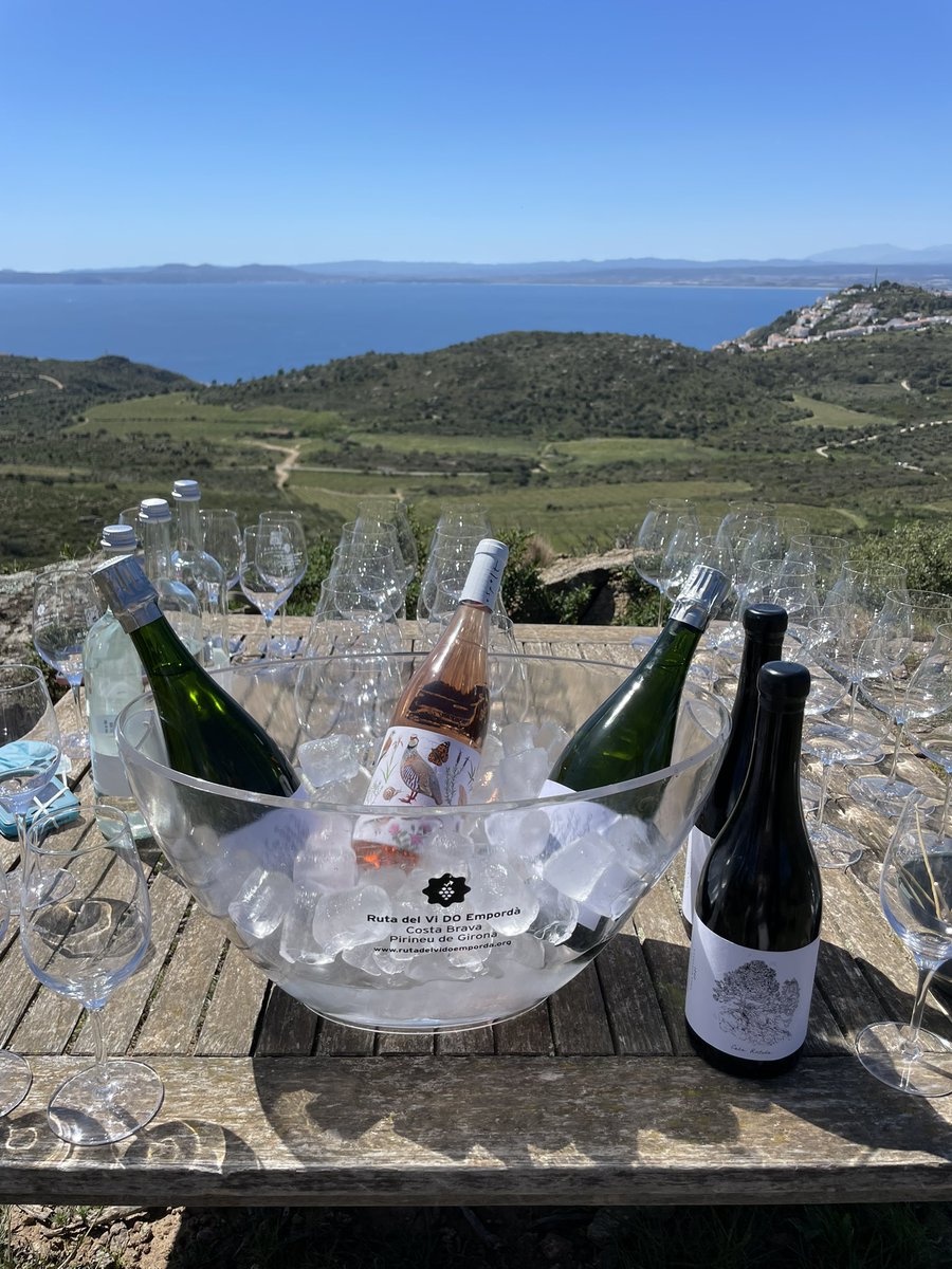 Vero Sinmapa tweet media