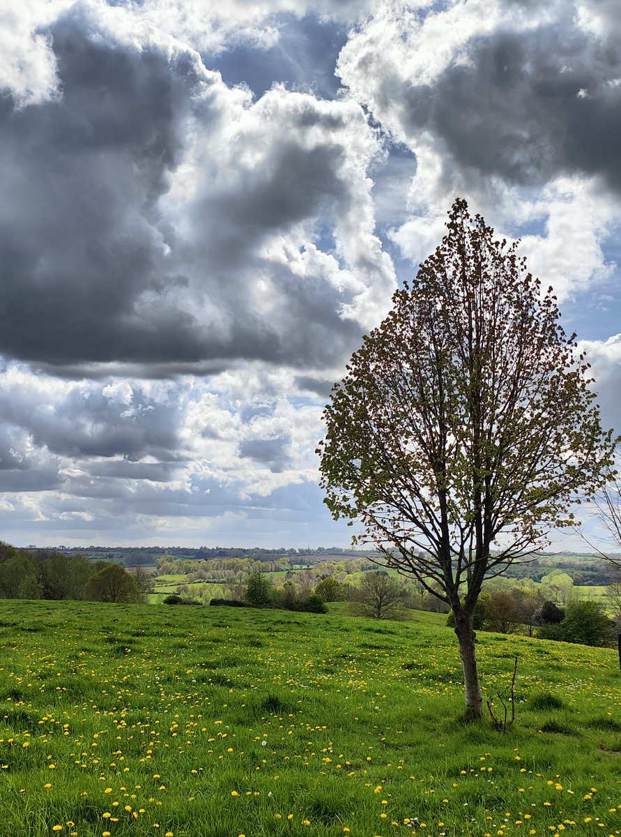 Matedwards7's tweet image. Overcast weather but still good for walking.
#Suffolk