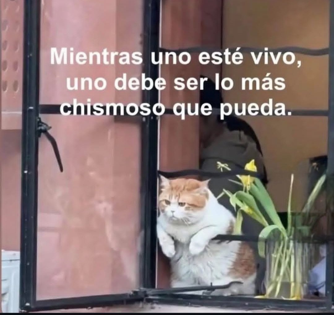 Beryl 🧶 tweet media