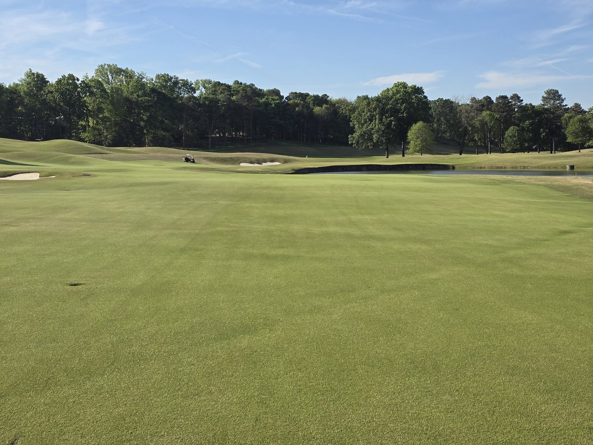 Cutler_A4's tweet photo. It’s dry in SW North Carolina. But PN7 treated turf with prescribed Propel are shining, uniform and bouncy…at extremely economical treatment rates. Fun golf conditions. #PredictN7 #CarmelCC https://t.co/i4KElVxTcY
