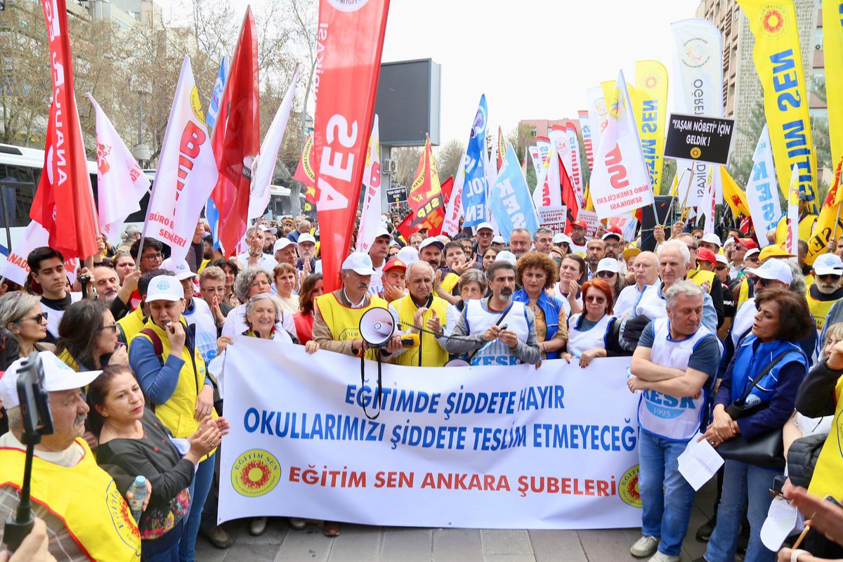 soL Haber tweet media