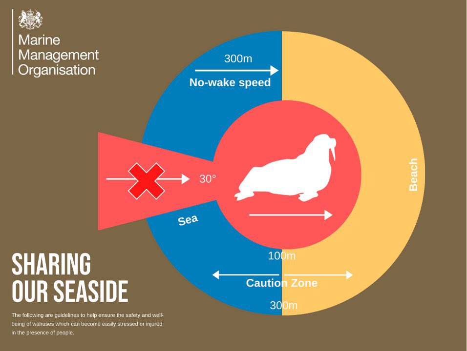 SeabirdOp's tweet photo. It’s been quite a while since we’ve had to share this! https://t.co/k7J366hT3R