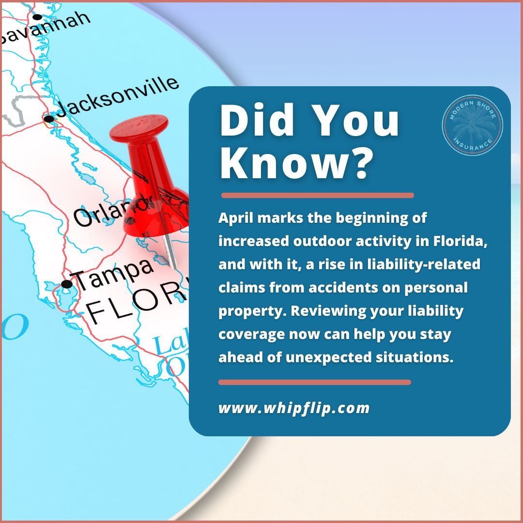 Modern Shore Insurance tweet media