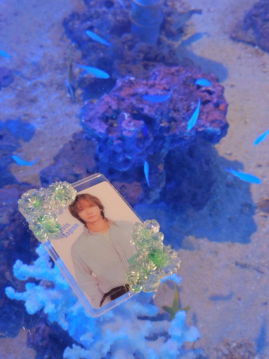 ばすち🧀 tweet media