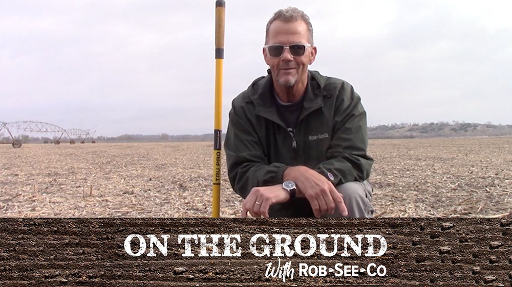 Rob-See-Co tweet media