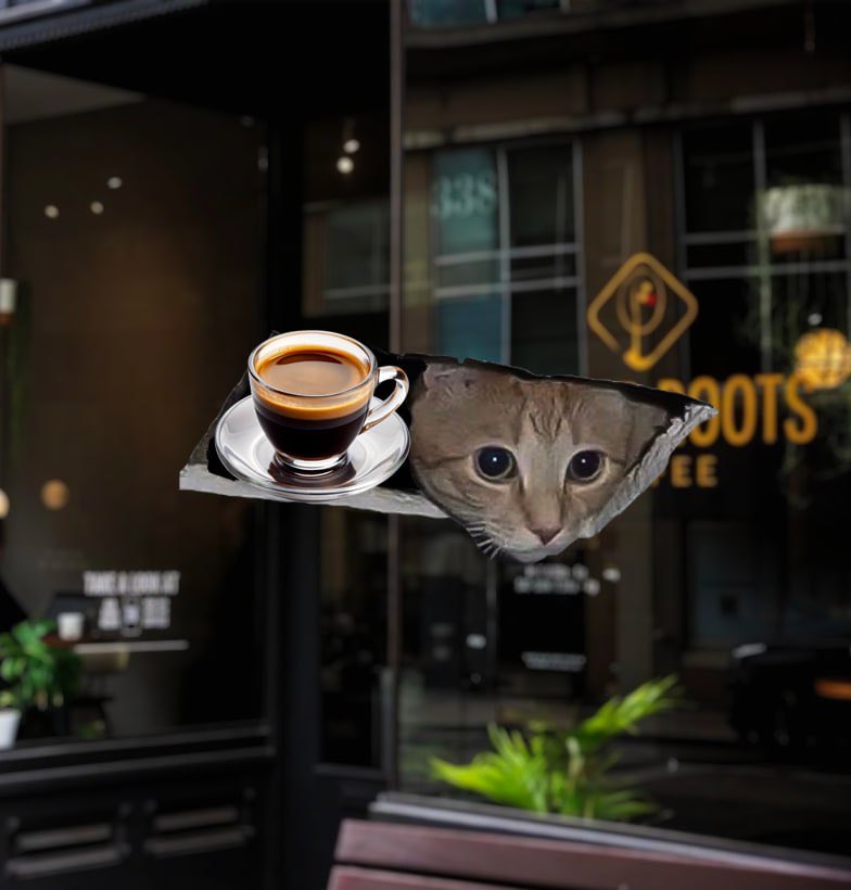 ceilingcat_sol's tweet photo. I was watching you start to fall asleep, so I brought you an espresso. https://t.co/Hnxt6TT0Wo