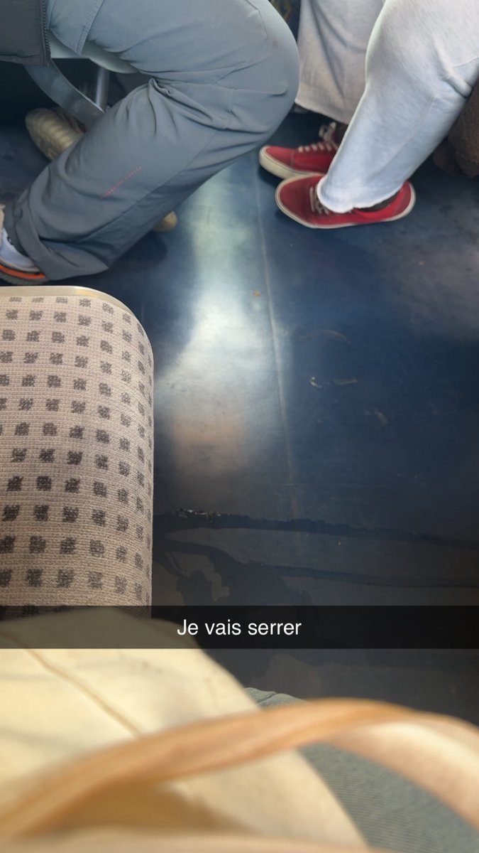 salmette tweet media