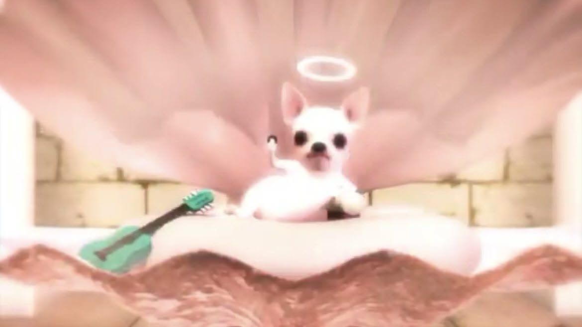 김하늘 tweet media