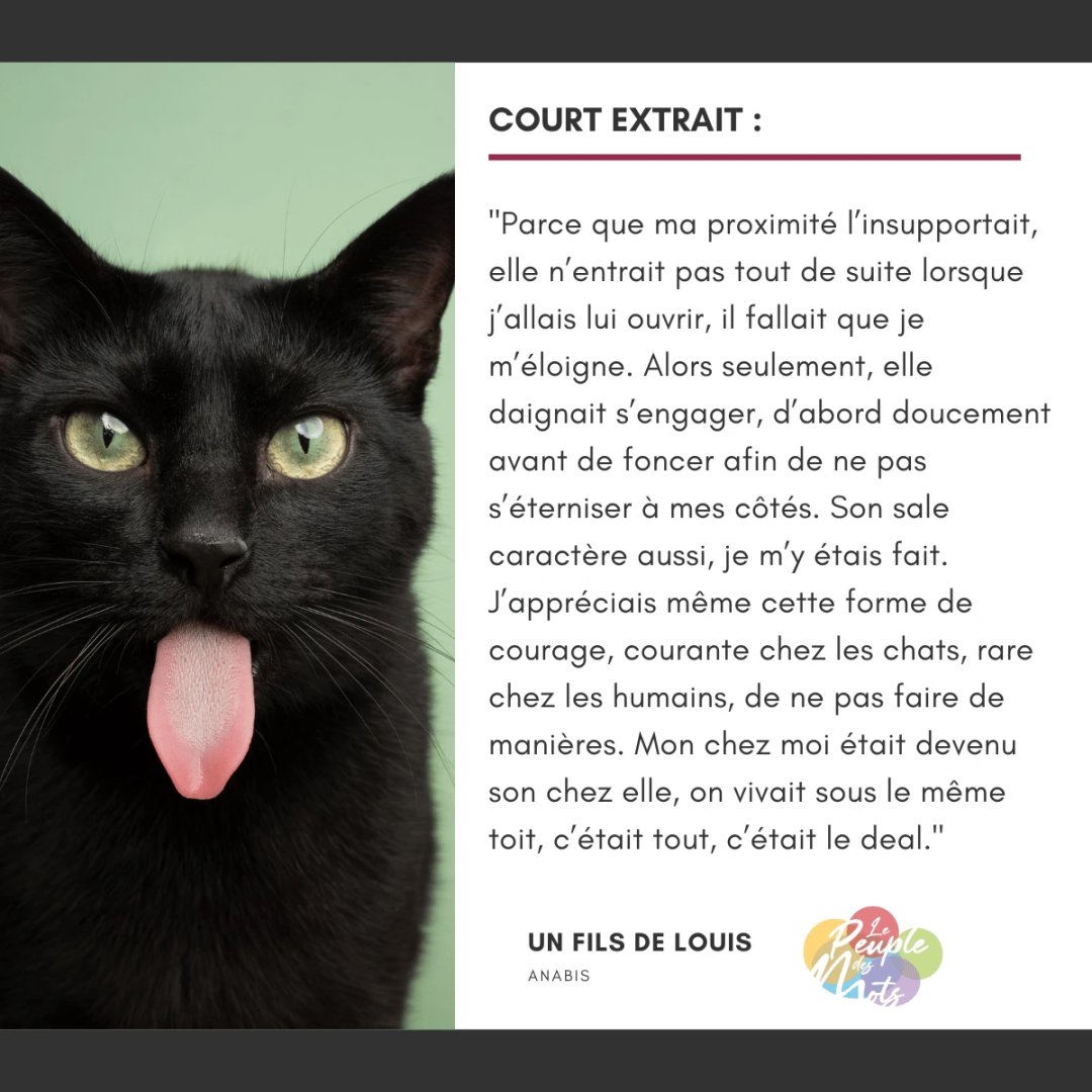 LePeupleDesMots's tweet image. Début d'un nouveau #roman pour un fils de Louis avec ce premier chapitre où pour conjurer la #solitude, un #chat s'impose en maître absolu : lepeupledesmots.com/texte/titre-pr…