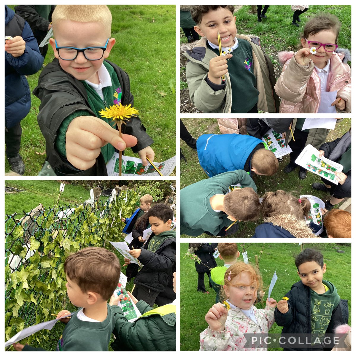 MissOldhamMG's tweet photo. Team Garnet have been on a plant hunt to see which types of plants grow around school. We found lots of different wild plants 🌱 🌼 @TeamManorGreen https://t.co/VBdTXpzve7