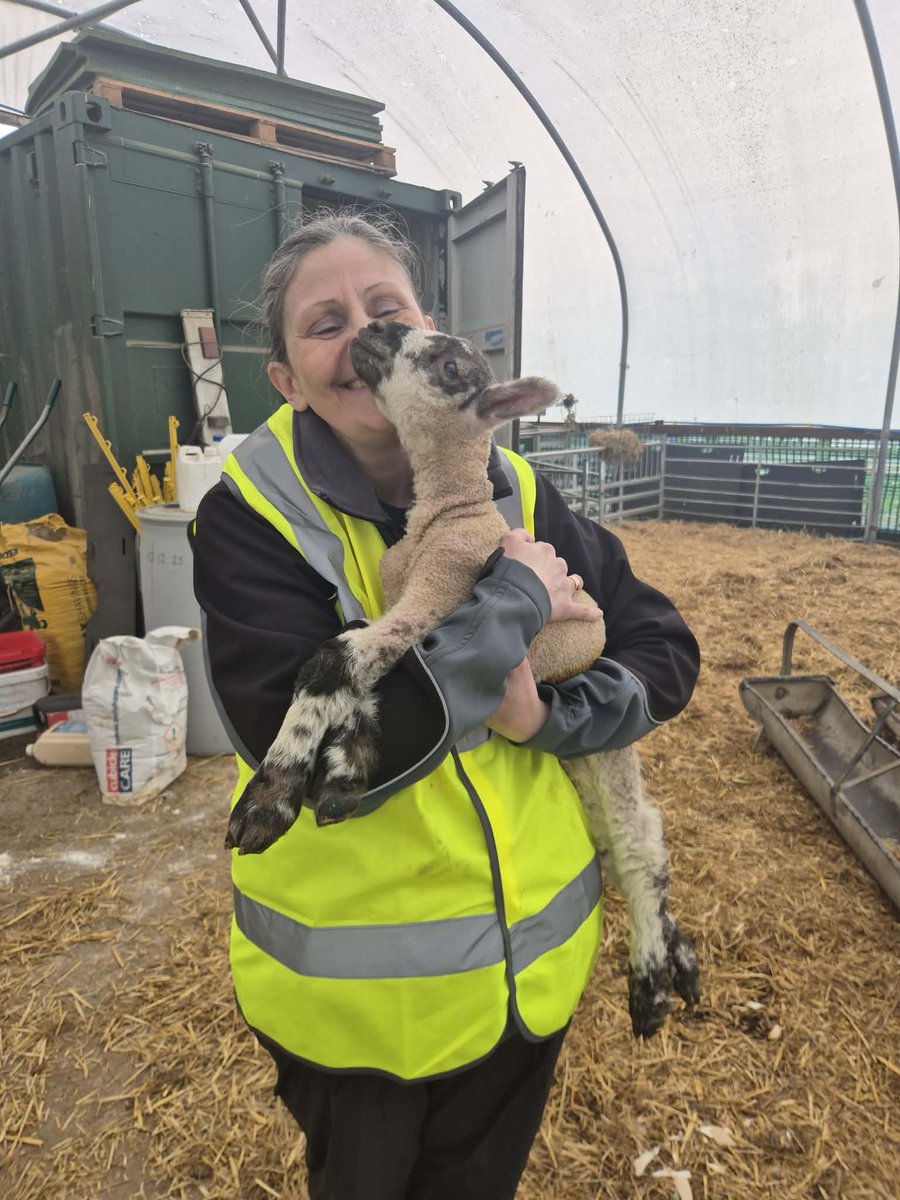 lesley_benson's tweet photo. Best job in the world https://t.co/1bVCddn7vg