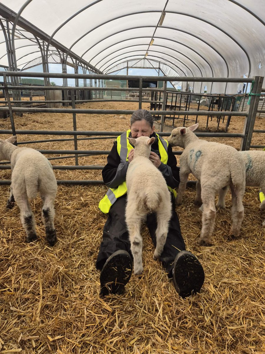 lesley_benson's tweet photo. Best job in the world https://t.co/1bVCddn7vg
