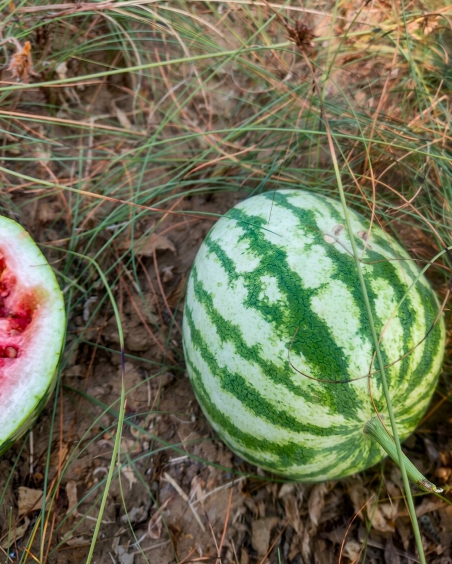 𝐒unil 𝐑ahar tweet media