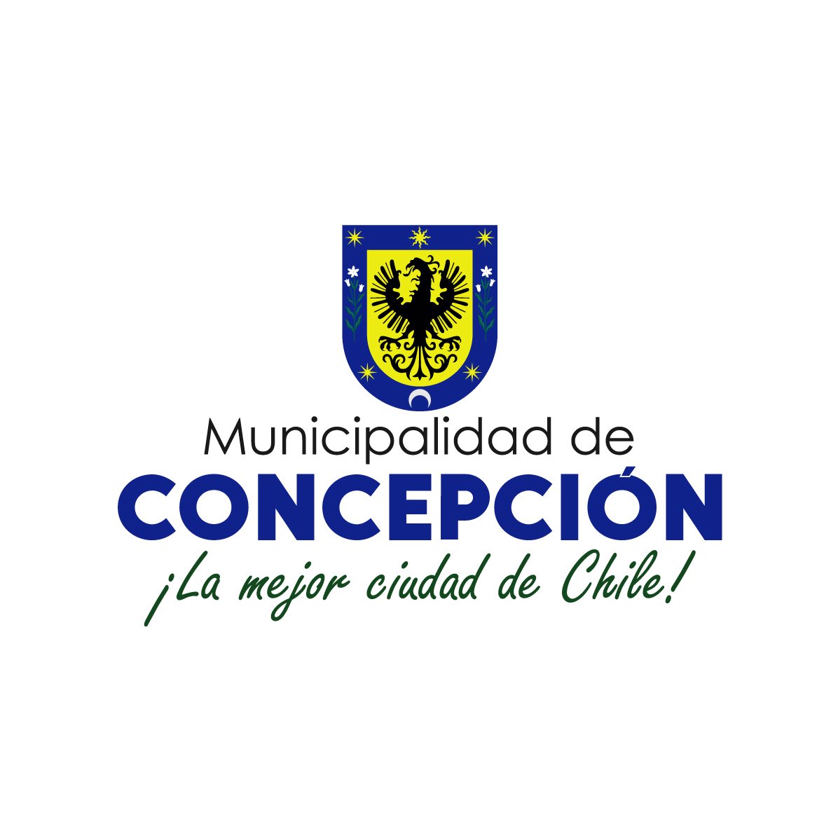 Municipalidad de Concepción tweet media