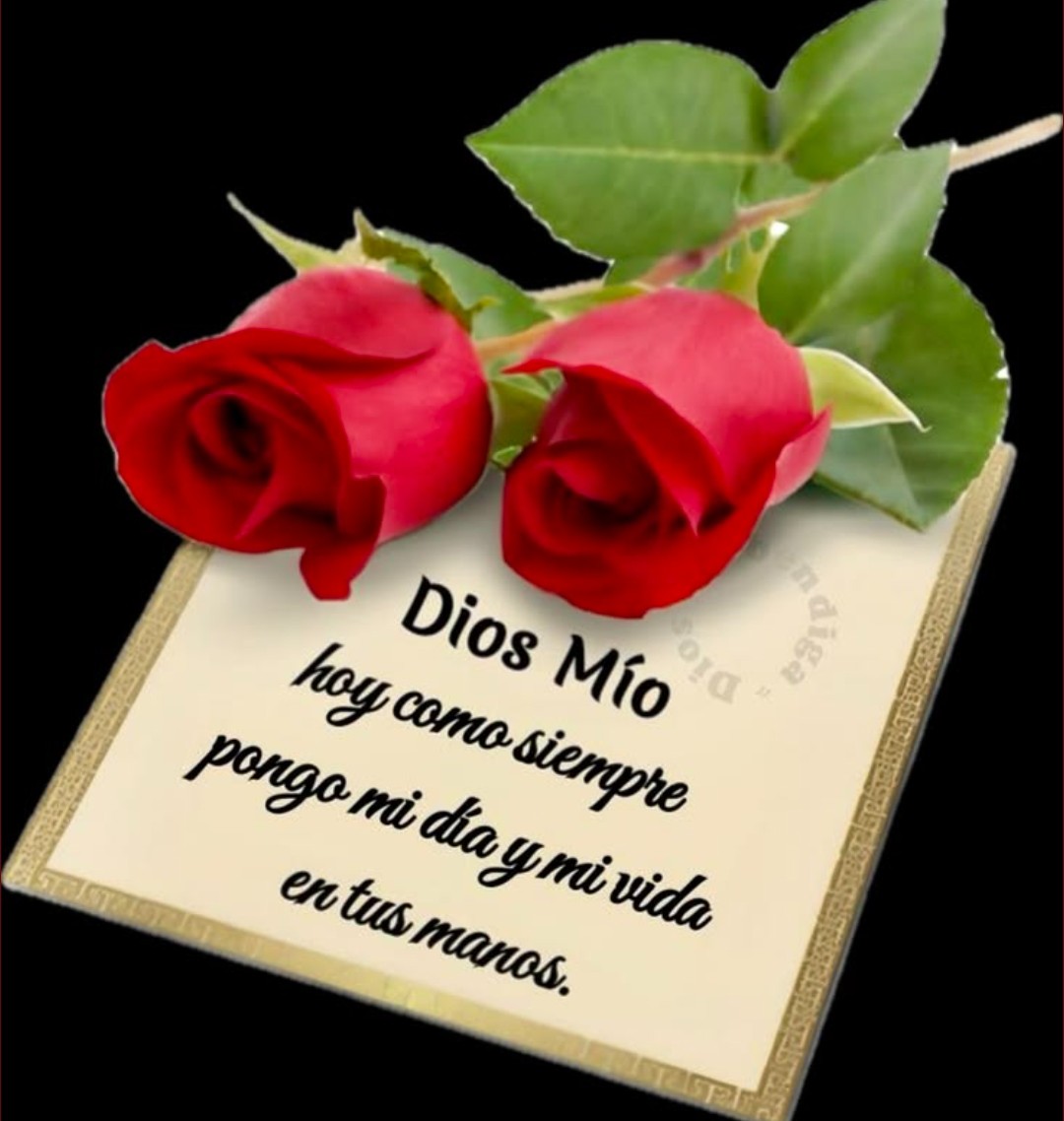 Cecilia Goyeneche tweet media