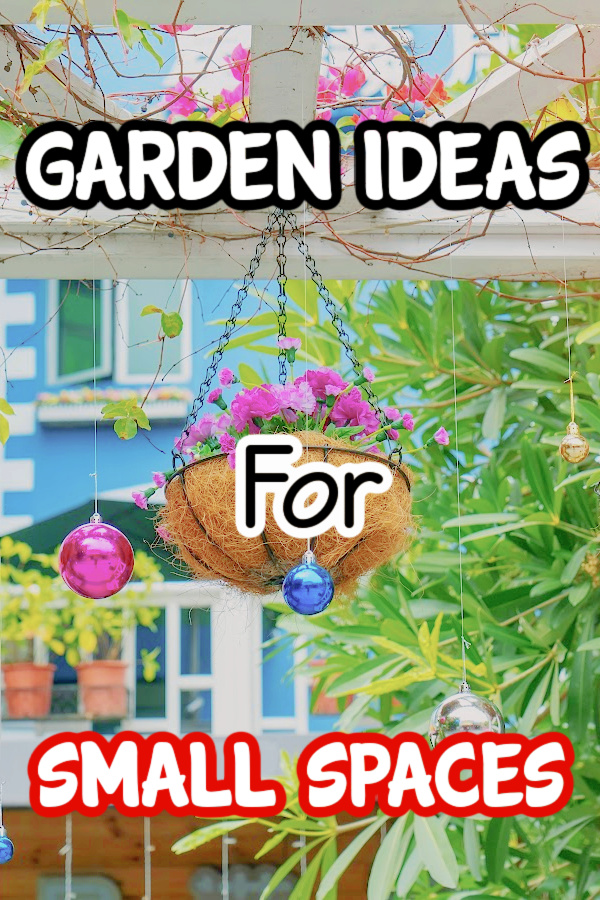 RealDianFarmer's tweet image. Backyard Small Garden Ideas Or Front Yard, Patio, Etc...

dianfarmer.com/backyard-small…
#veggiegarden #containergardening #allotment #zone