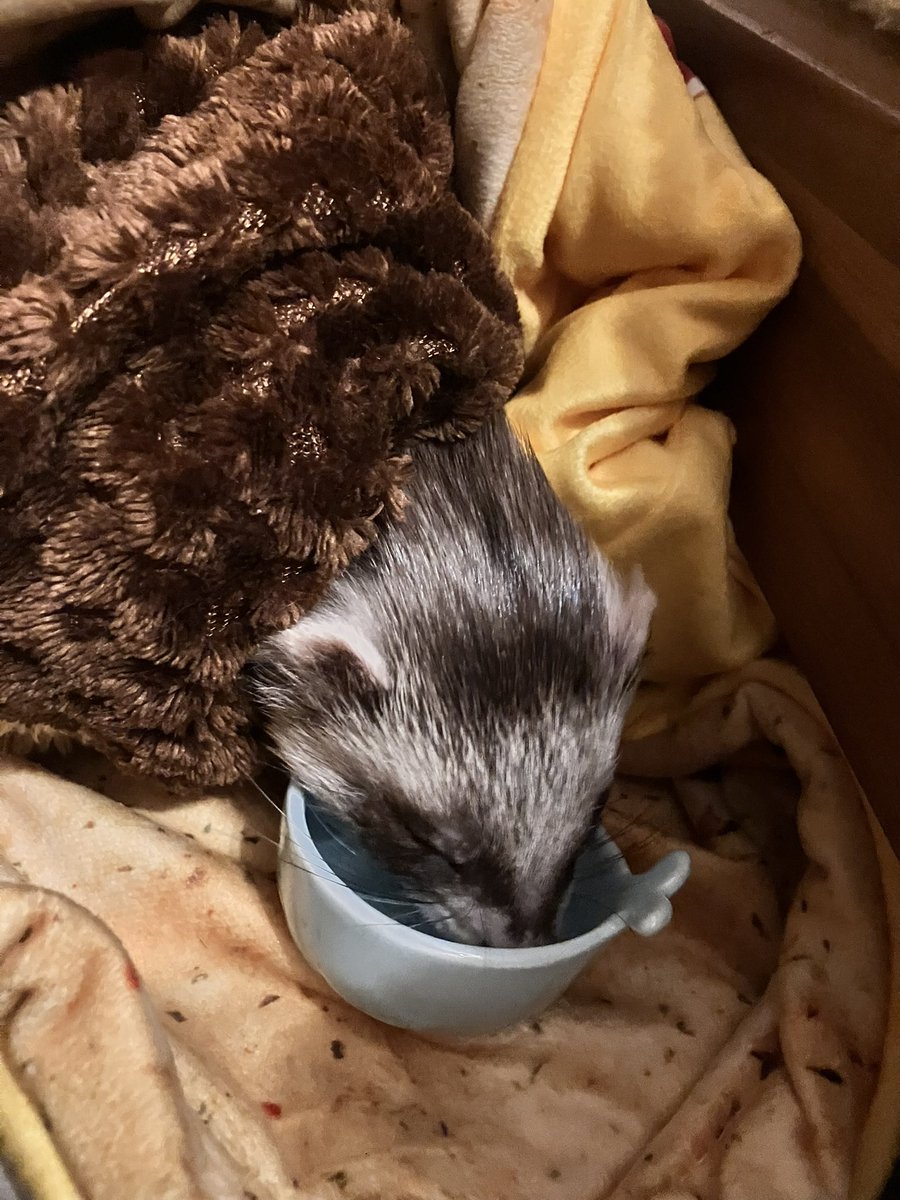 CaliCeri tweet media