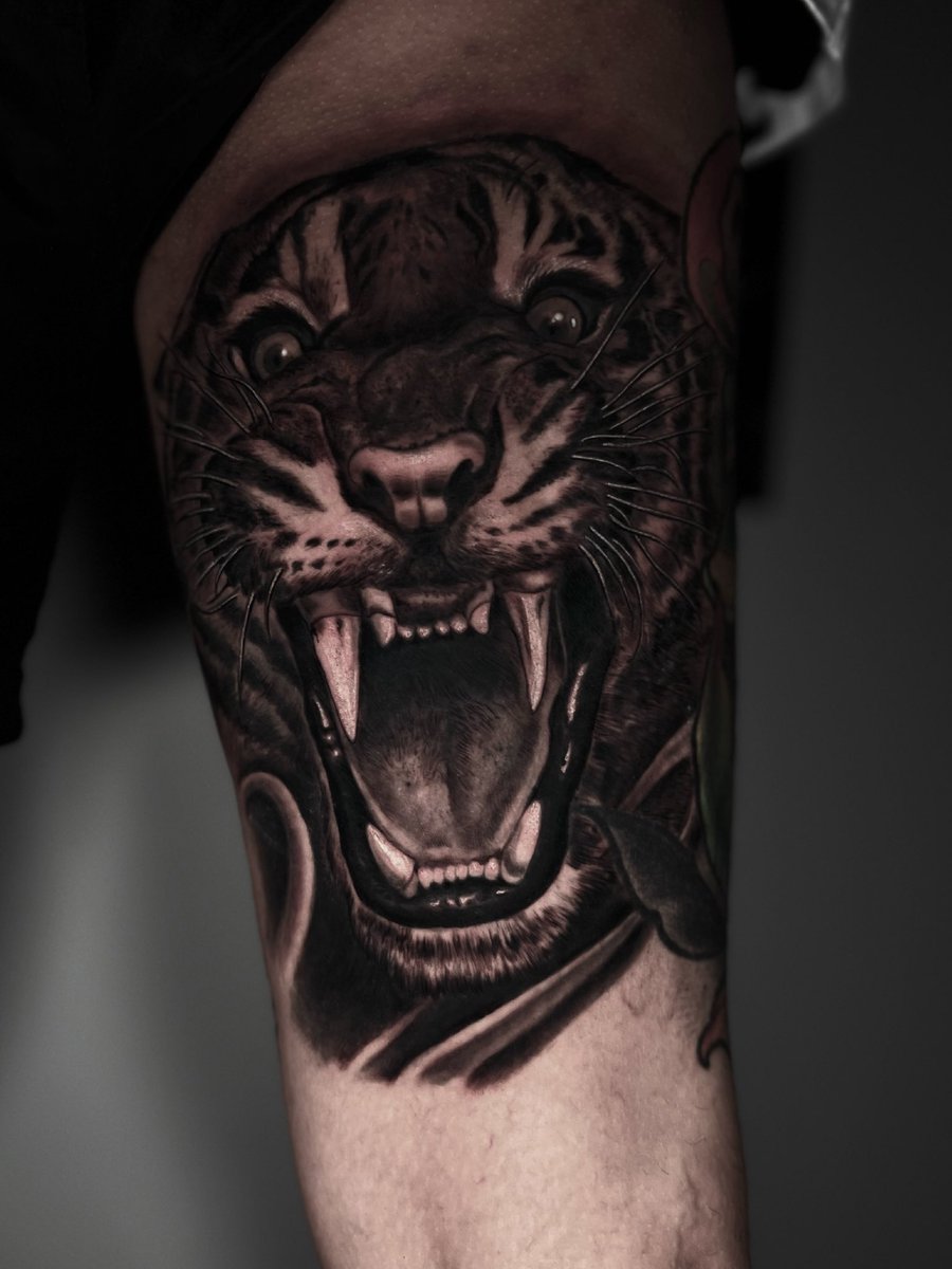 If you don’t golf that’s okay 
You can be a Tiger anyway