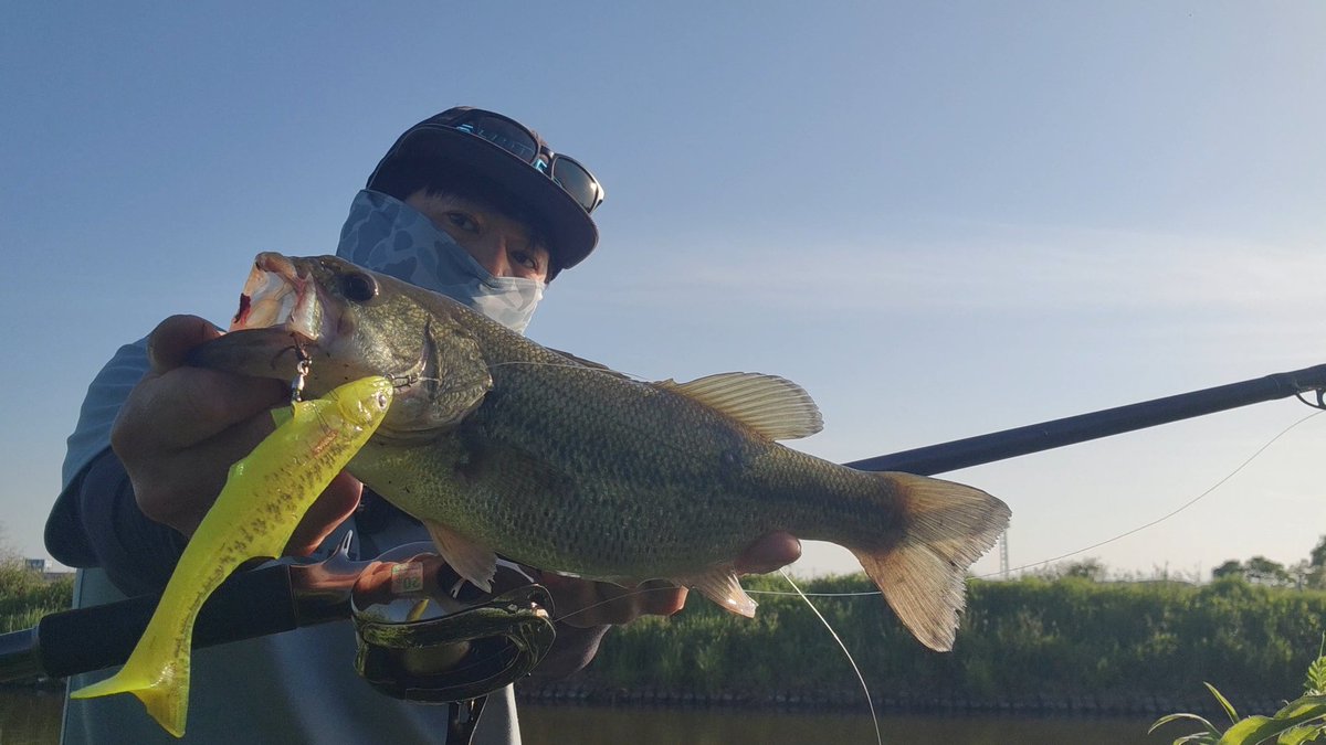 たまに実力発揮するえーさん(仮) tweet media